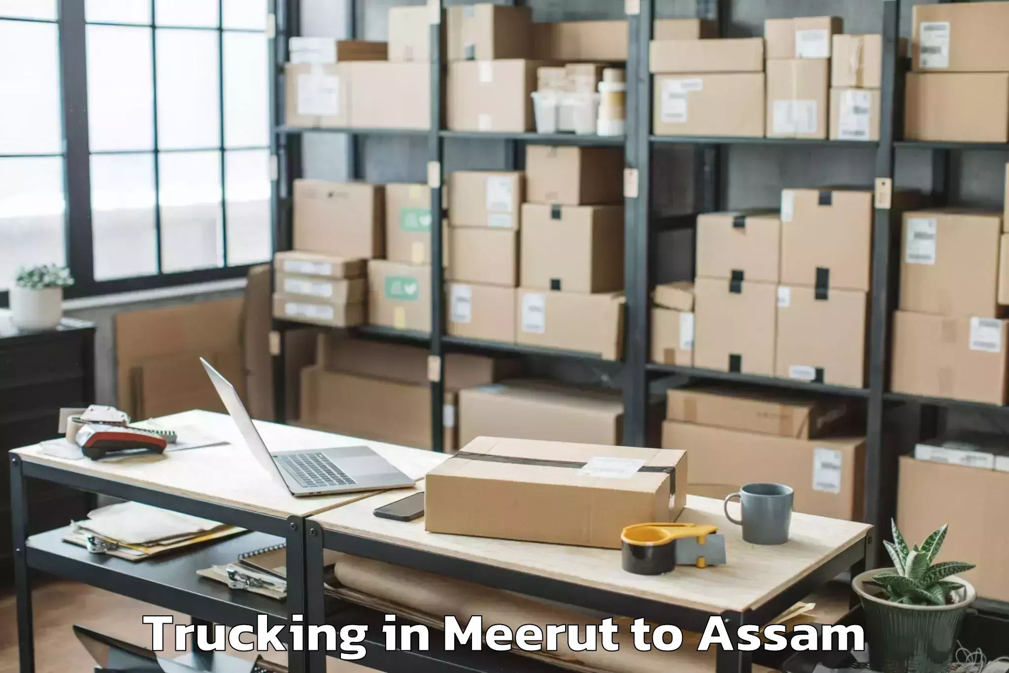 Book Meerut to Tamarhat Trucking